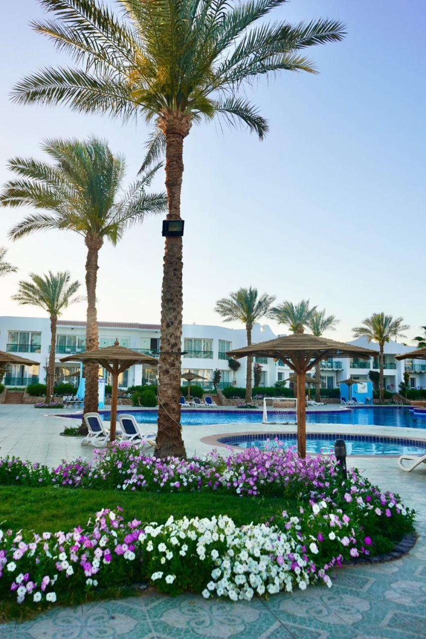 Hotel Panorama Naama Heights Sharm El-Sheikh Exterior foto