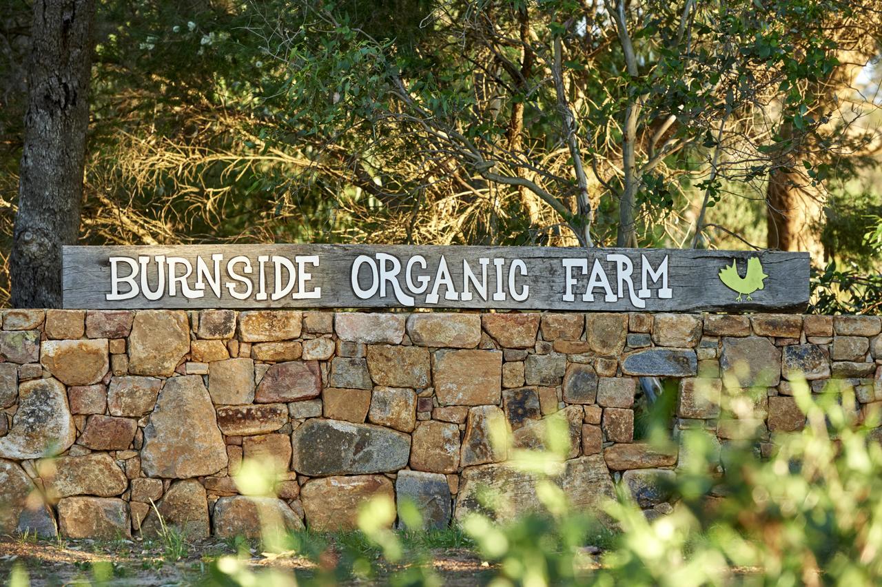 Villa Burnside Organic Farm Margaret River Exterior foto