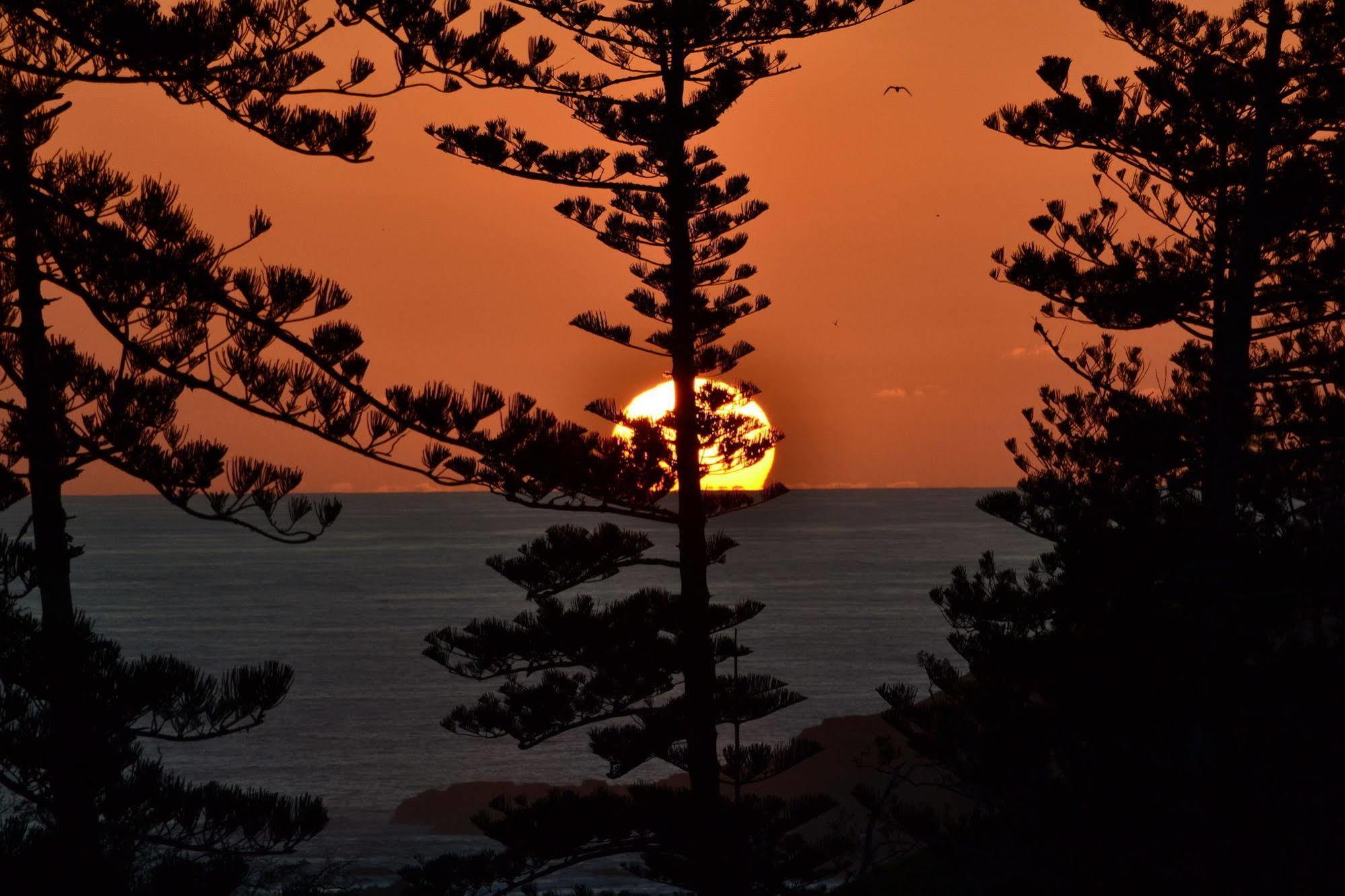 Kentia Holiday Apartments Norfolk Island Exterior foto