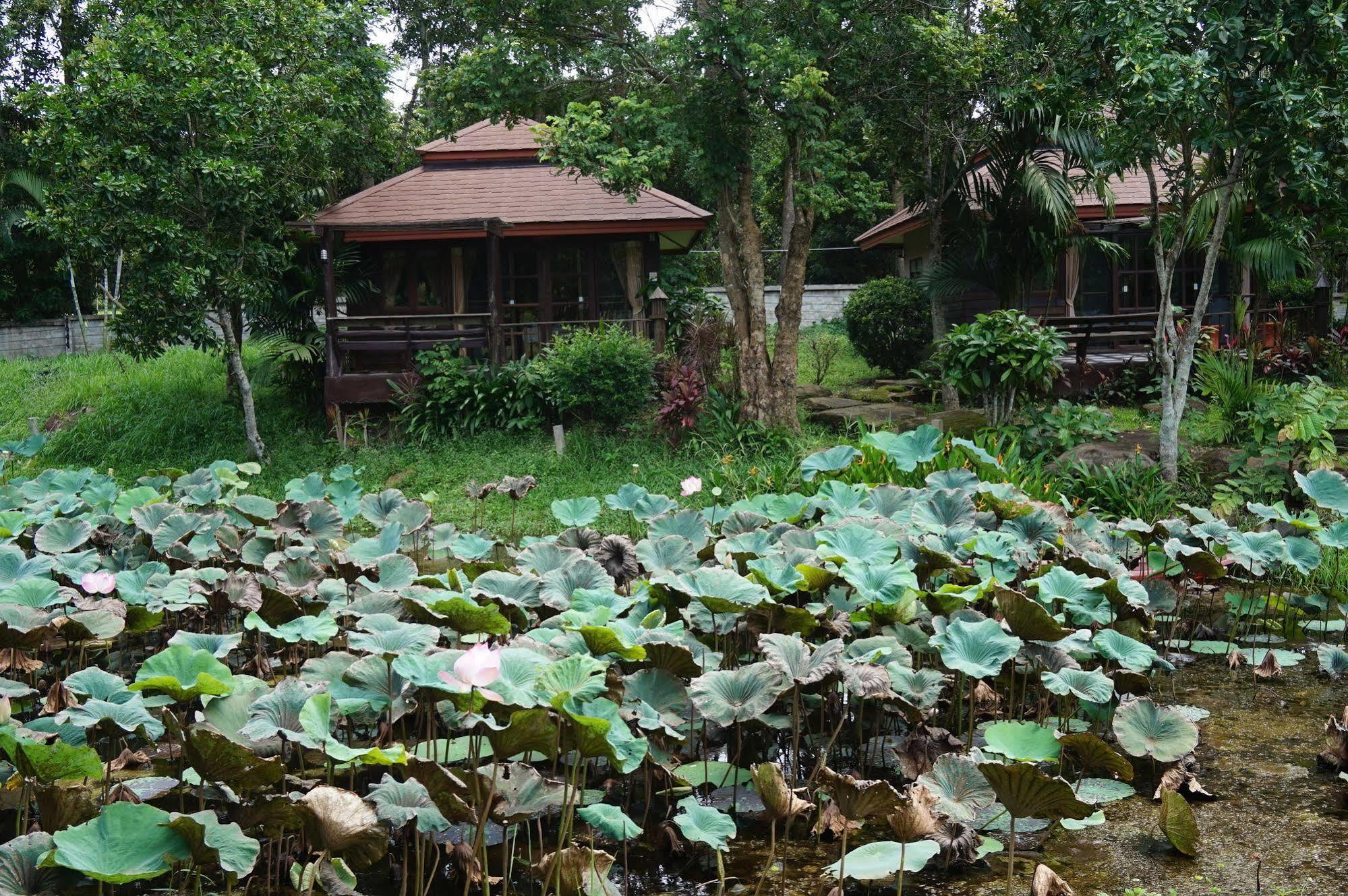 De Bua Valley Resort Wang Nam Khiao Exterior foto
