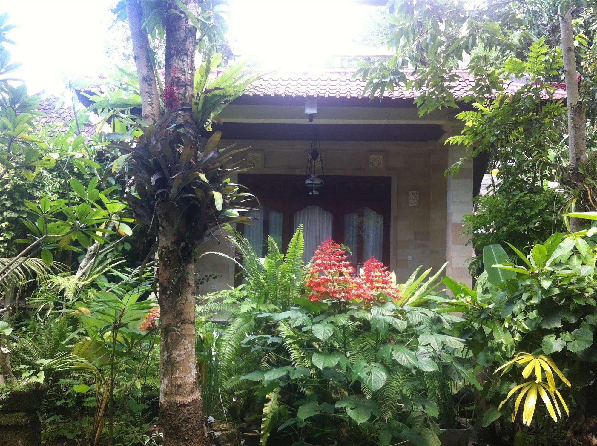 Karang Mesari Ubud Guest House Exterior foto