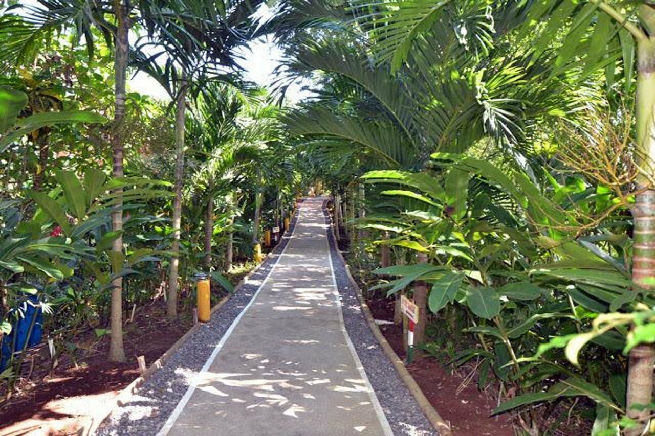 Bay View Eco Resort & Spa Port Antonio Exterior foto