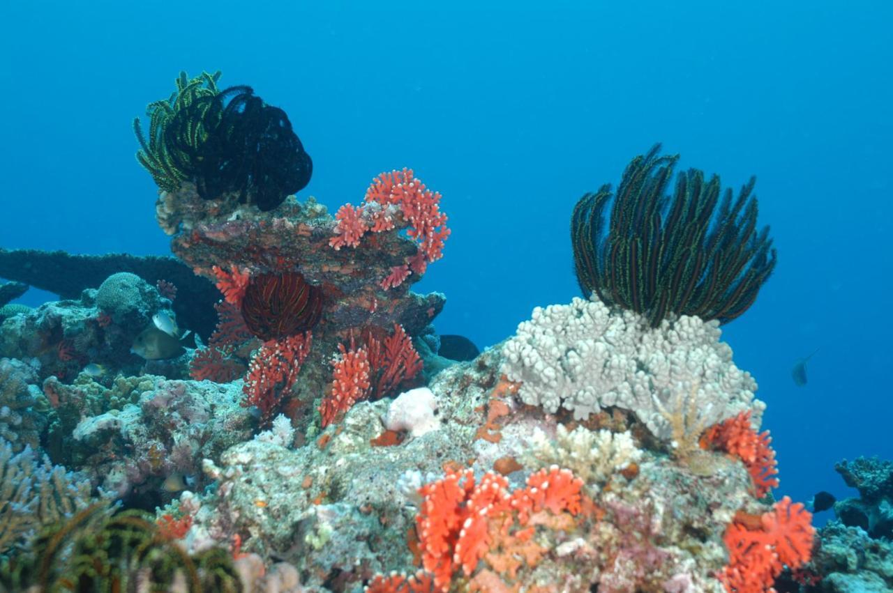 Coral Quays Fish And Dive Resort Espiritu Santo Island Exterior foto
